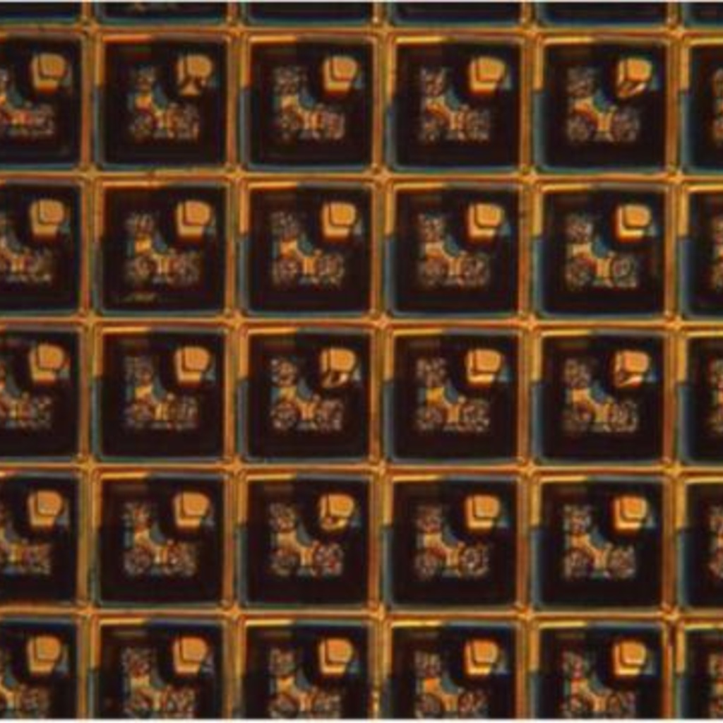 Two color SLED array